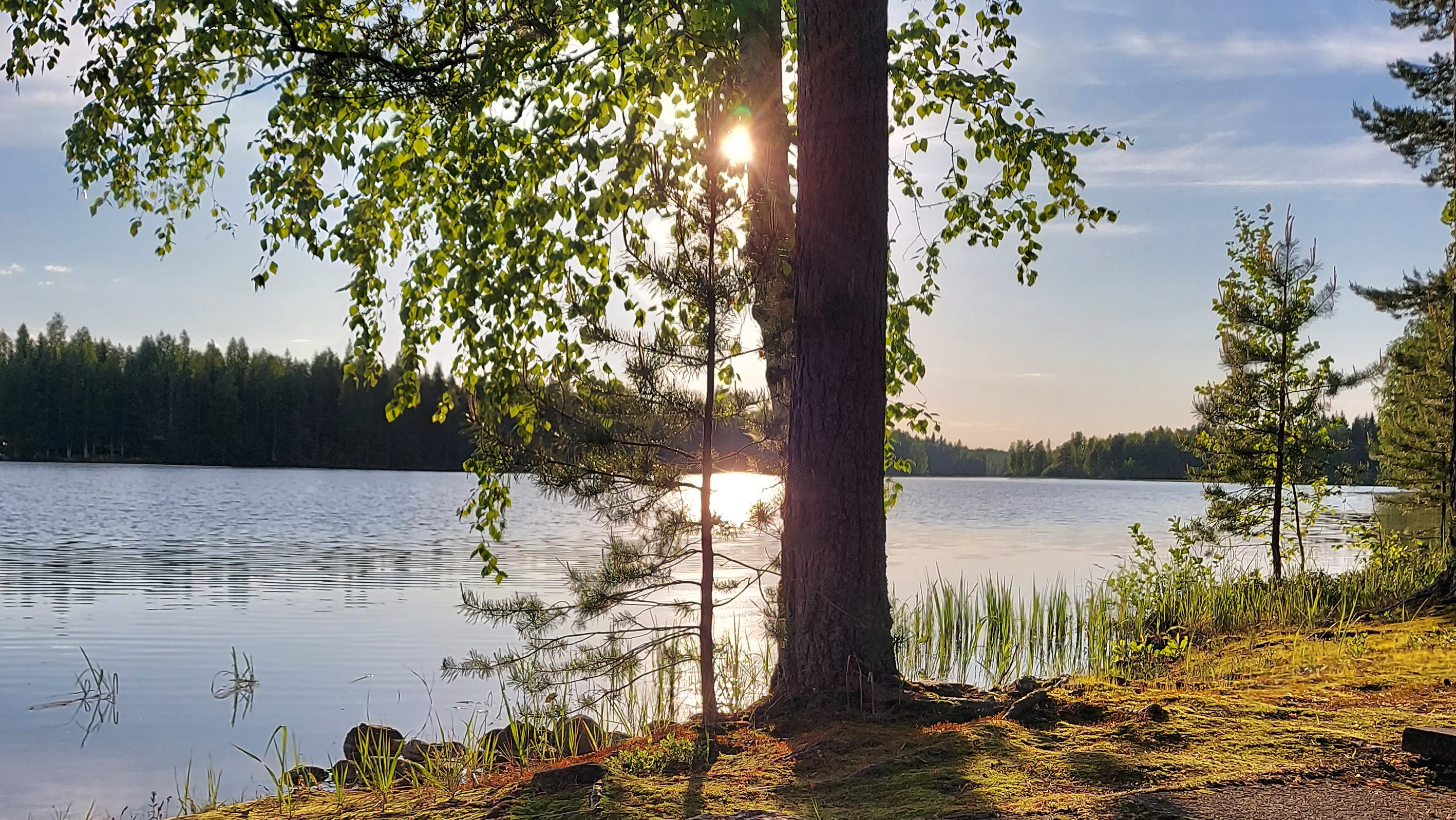 mökki Kyyvesi