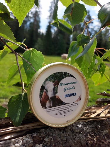 Koivurannan tila ja luonto